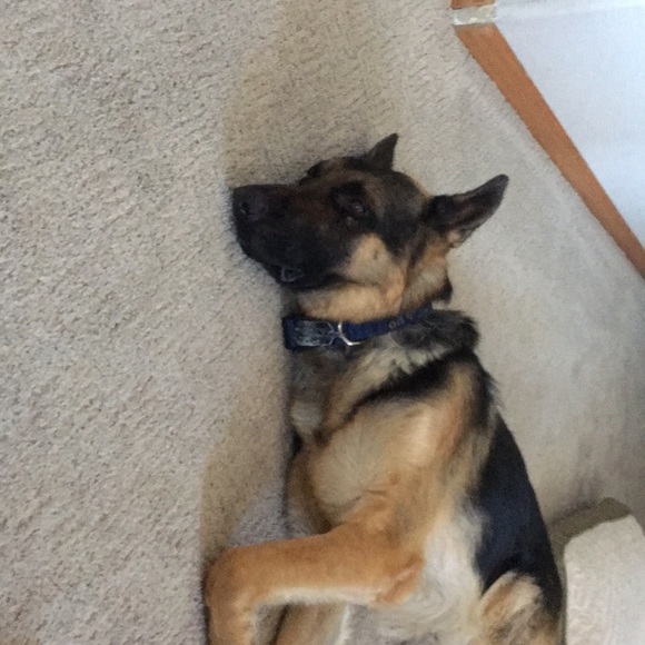 Meet your Posher, Melissa - Picture 1 of 1